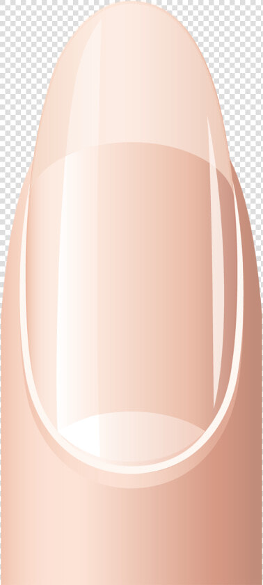 Finger Clipart Short Nail   Normal Fingernails Clipart Png  Transparent PngTransparent PNG