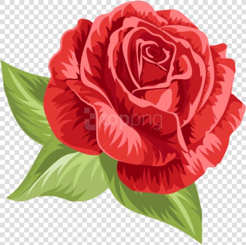 Vintage Rose Png   Vintage Rose Illustration Roses  Transparent PngTransparent PNG