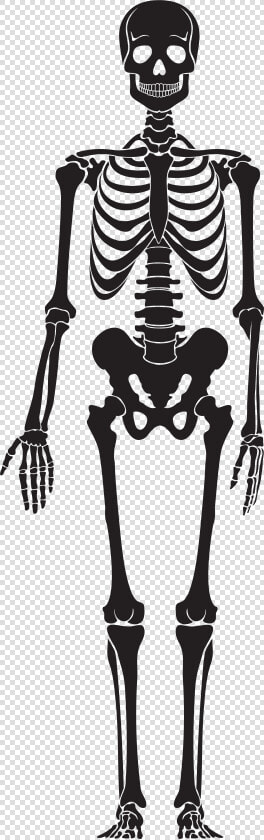 Skeleton Png Clip Art   Black Skeleton Png  Transparent PngTransparent PNG