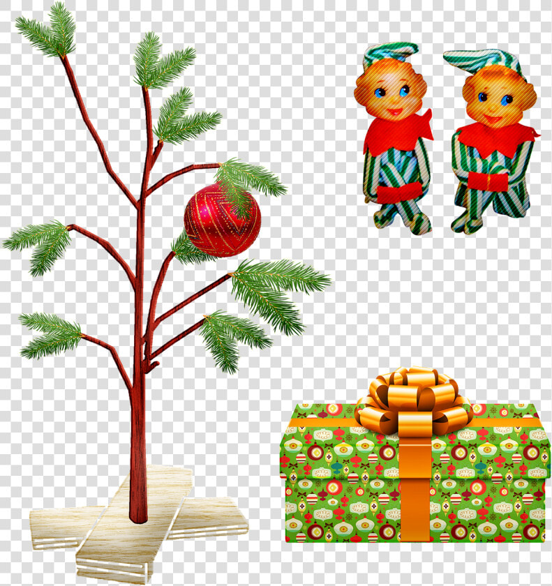 Charlie Brown Christmas Tree  Elf  Gift  Christmas  HD Png DownloadTransparent PNG