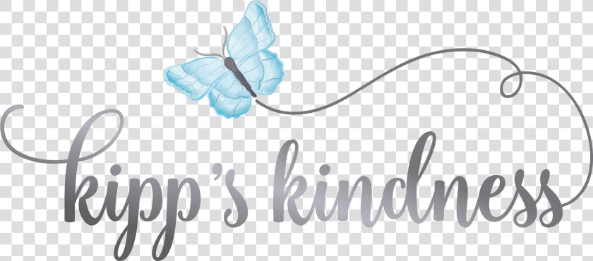 Kipp S Kindness   Lycaenid  HD Png DownloadTransparent PNG