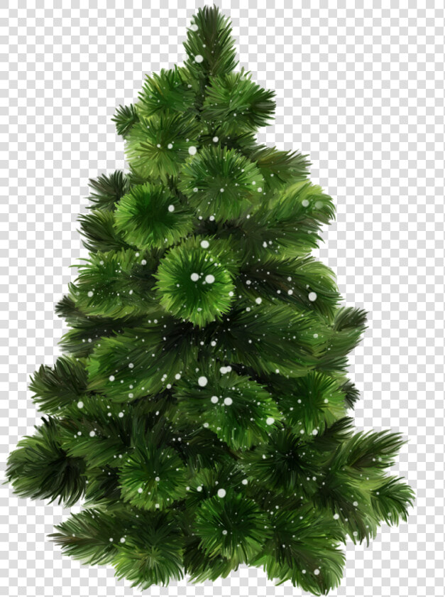 0 17253d D7cd431b L Christmas Mix  Xmas Tree  Christmas   Bonsai Tree With Transparent Background  HD Png DownloadTransparent PNG