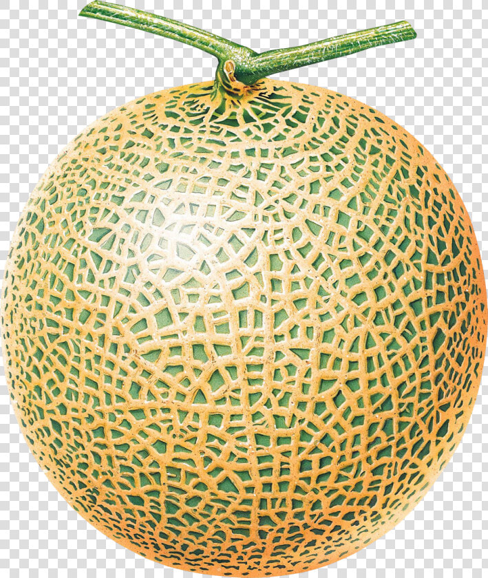 Melon Png Image   Melon Png  Transparent PngTransparent PNG