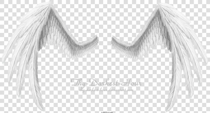 Black And White Angel Wings   Wings Png For Photoshop  Transparent PngTransparent PNG