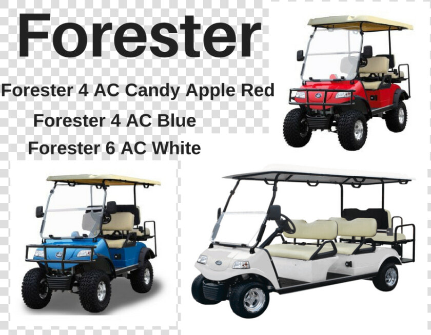 Evolution Foresters   6 Passenger Golf Cart Fsu  HD Png DownloadTransparent PNG