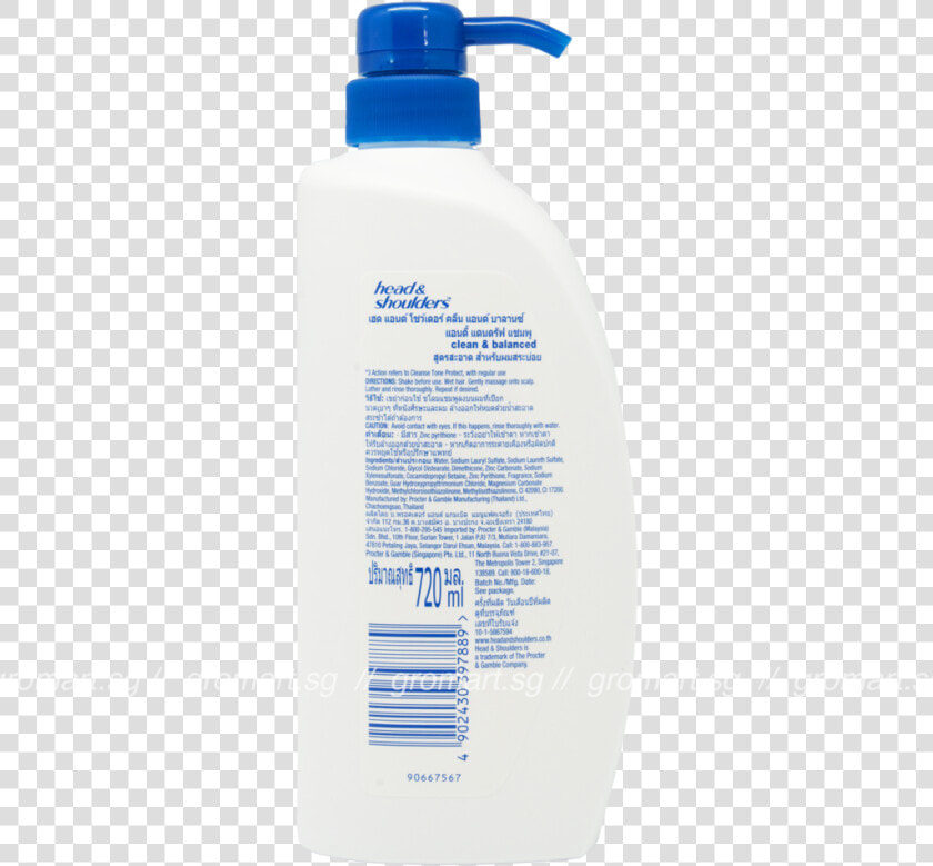 Head And Shoulders Png  Transparent PngTransparent PNG