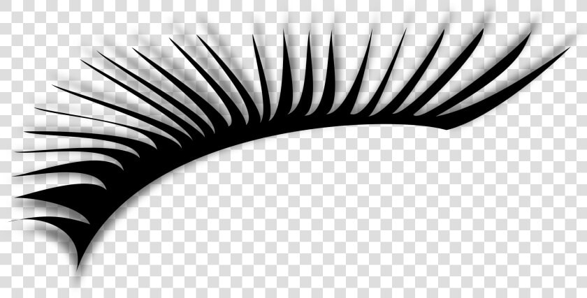 Download Free Png Eyelash Png  Download Png Image With   Lashes Clipart Png  Transparent PngTransparent PNG