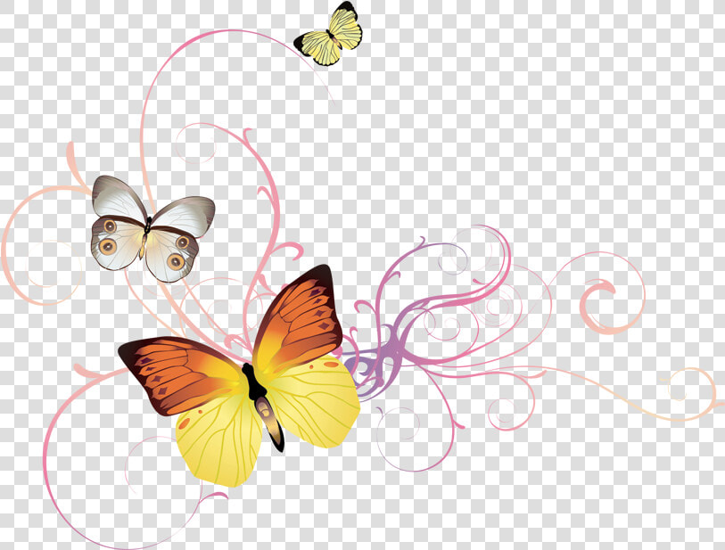 Butterfly Png   Butterfly Floral Png  Transparent PngTransparent PNG