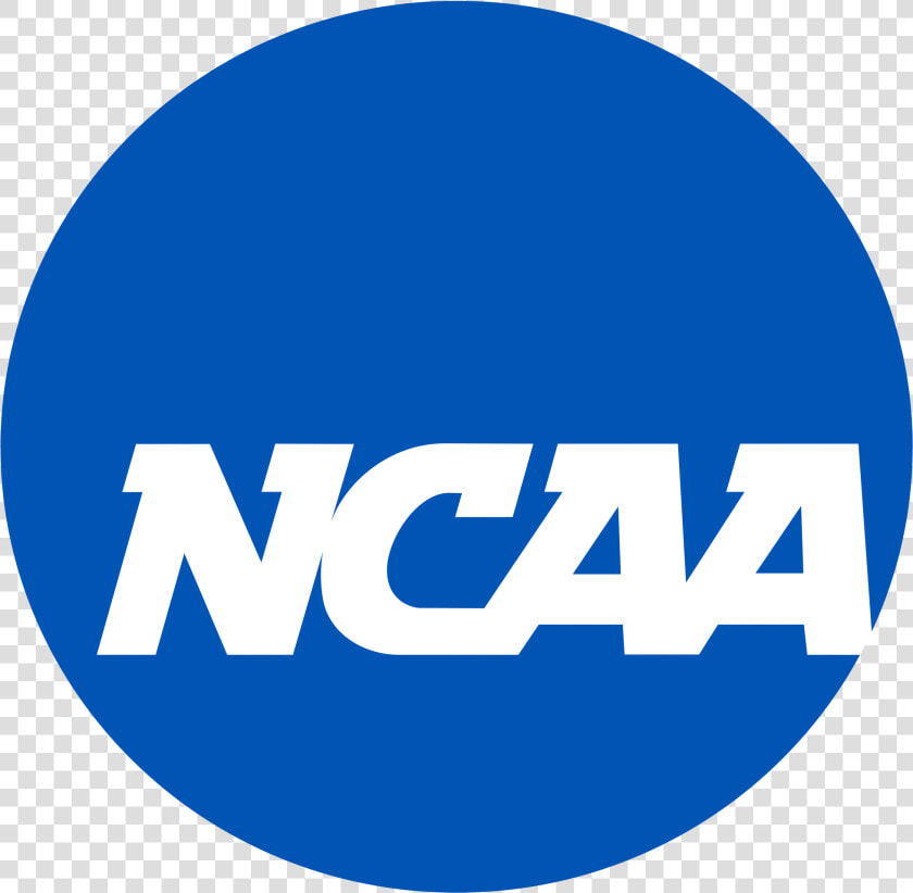 Vb Opens Ncaas Against Iowa State  HD Png DownloadTransparent PNG