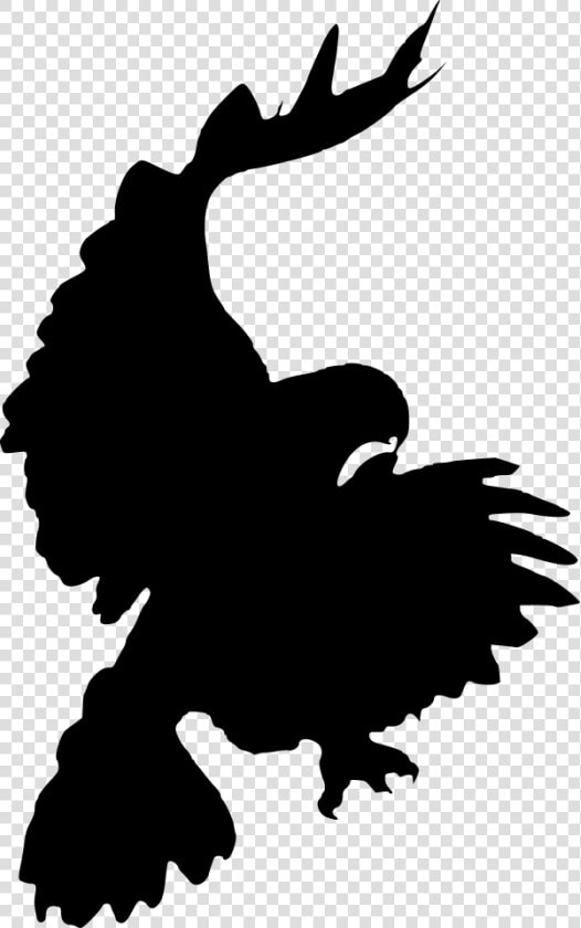 Bird Red tailed Hawk Silhouette Clip Art   Hawk Pouncing  HD Png DownloadTransparent PNG