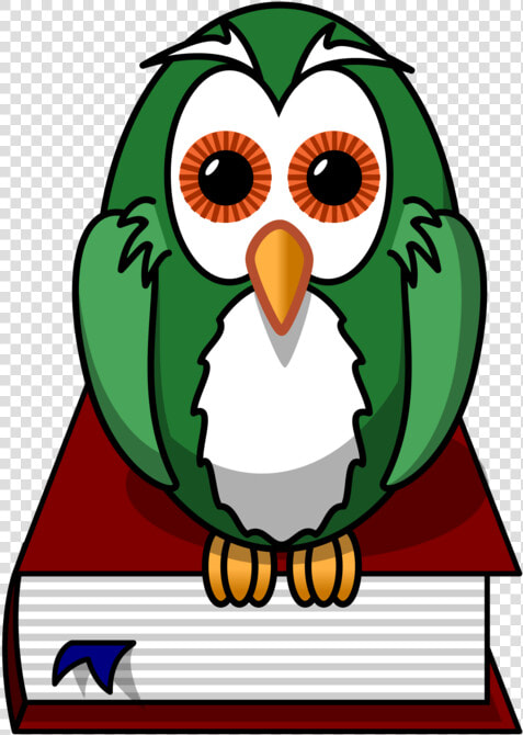 Owl beak bird  HD Png DownloadTransparent PNG