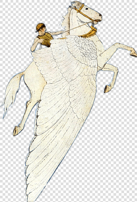 Pegasus Winged Horse   Illustration  HD Png DownloadTransparent PNG