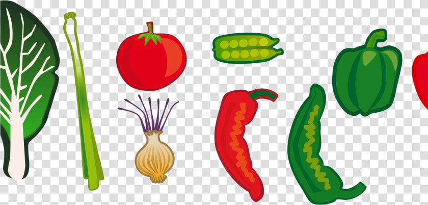 Garden Clip Art Cartoon   Garden Vegetables Png Clipart  Transparent PngTransparent PNG