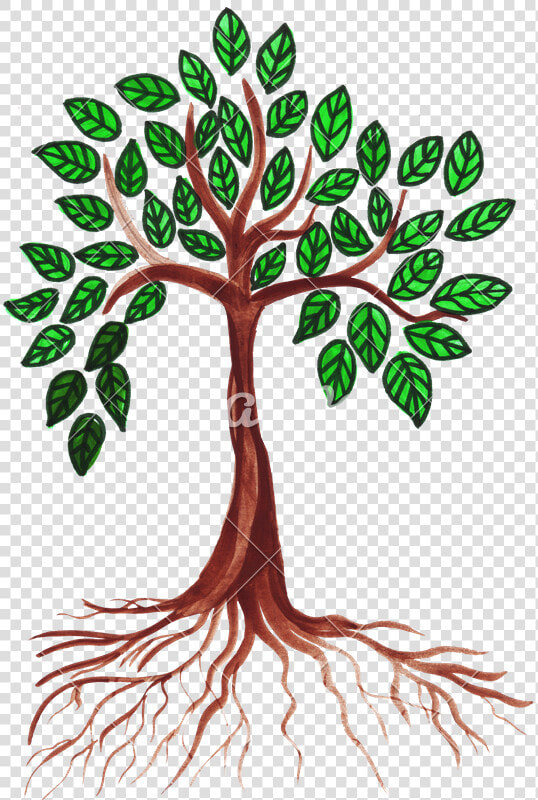 Green Drawing Tree   Tree Drawing With Leaves  HD Png DownloadTransparent PNG