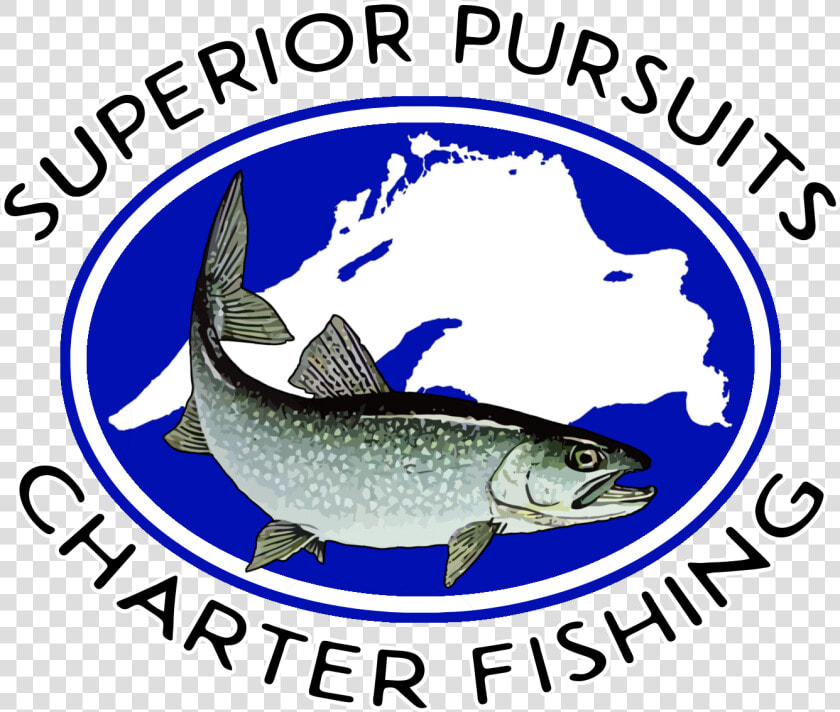 Superior Pursuits   Trout  HD Png DownloadTransparent PNG