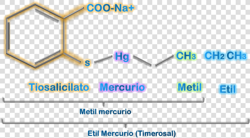 Etil Mercurio   Ковалент Гэж Юу Вэ  HD Png DownloadTransparent PNG