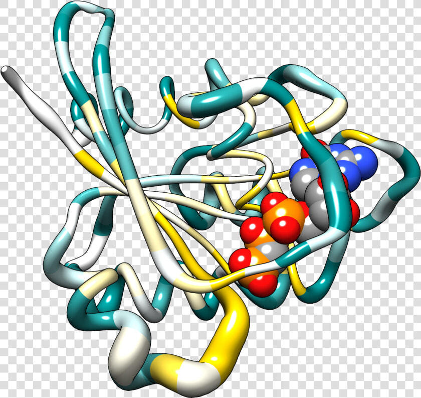 Hras Bfactor Worm Colored By Conservation   Protein B Factor Chimera  HD Png DownloadTransparent PNG