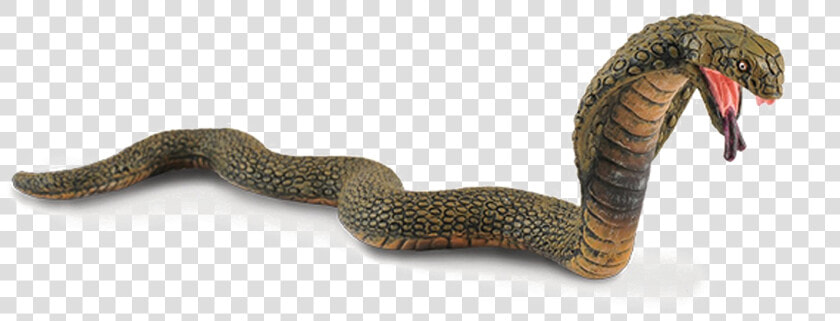 King Cobra Png Image   King Cobra Collecta  Transparent PngTransparent PNG