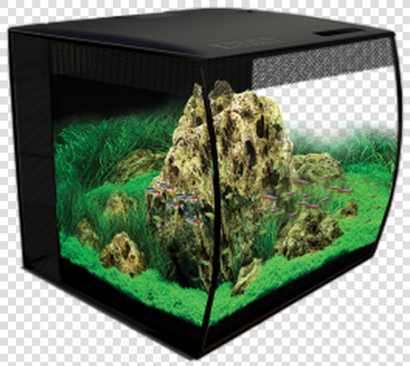 Fluval Flex 15 Gallon  HD Png DownloadTransparent PNG