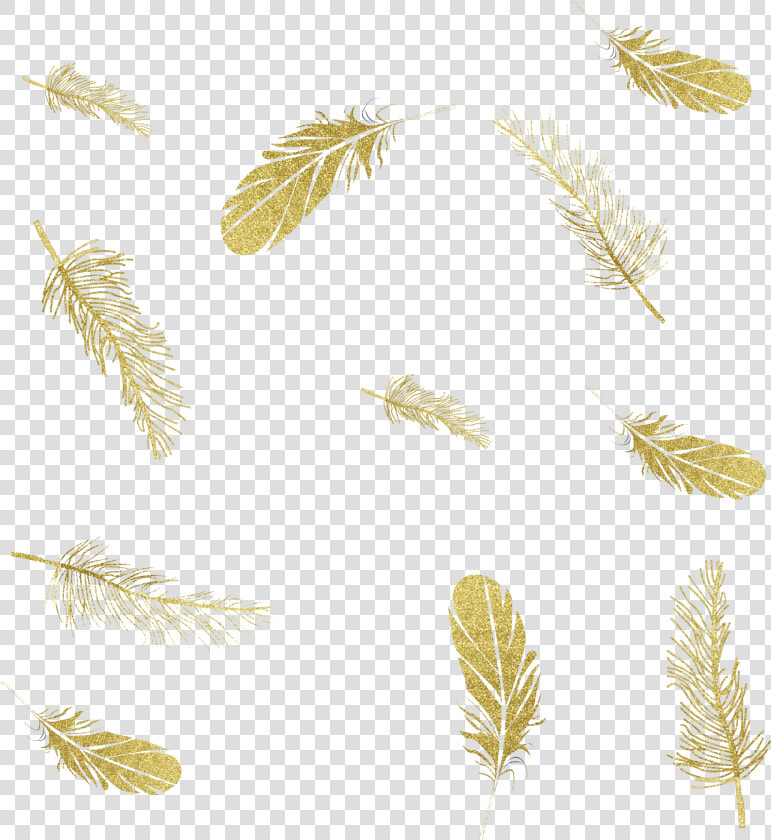 Feather Graphics Ink Portable Network Png File Hd Clipart   Falling Feathers Gold Png  Transparent PngTransparent PNG