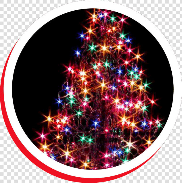 Christmas Tree Outdoor Decorated  HD Png DownloadTransparent PNG