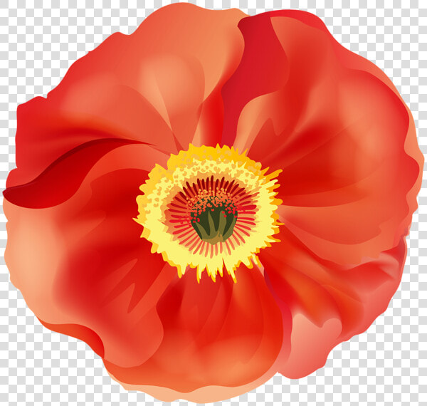 Poppy Flower Clipart Svg Royalty Free Poppy Png Clip   Poppy Flower Poppy Remembrance Day Clip Art  Transparent PngTransparent PNG