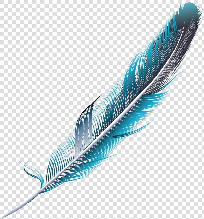 Transparent Feather Png Image   Pluma Png  Png DownloadTransparent PNG