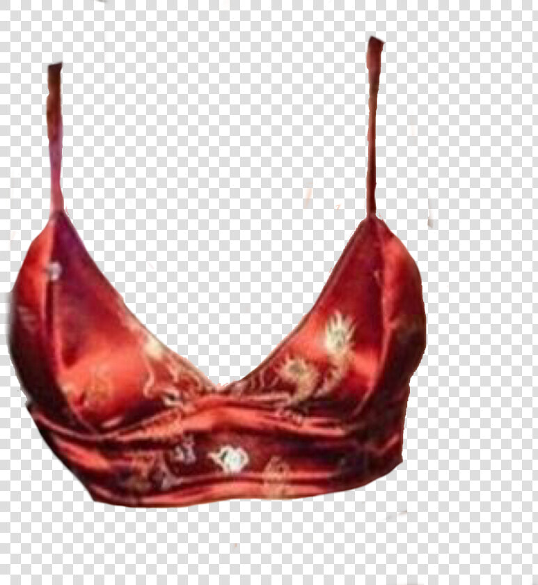 Brassiere  HD Png DownloadTransparent PNG