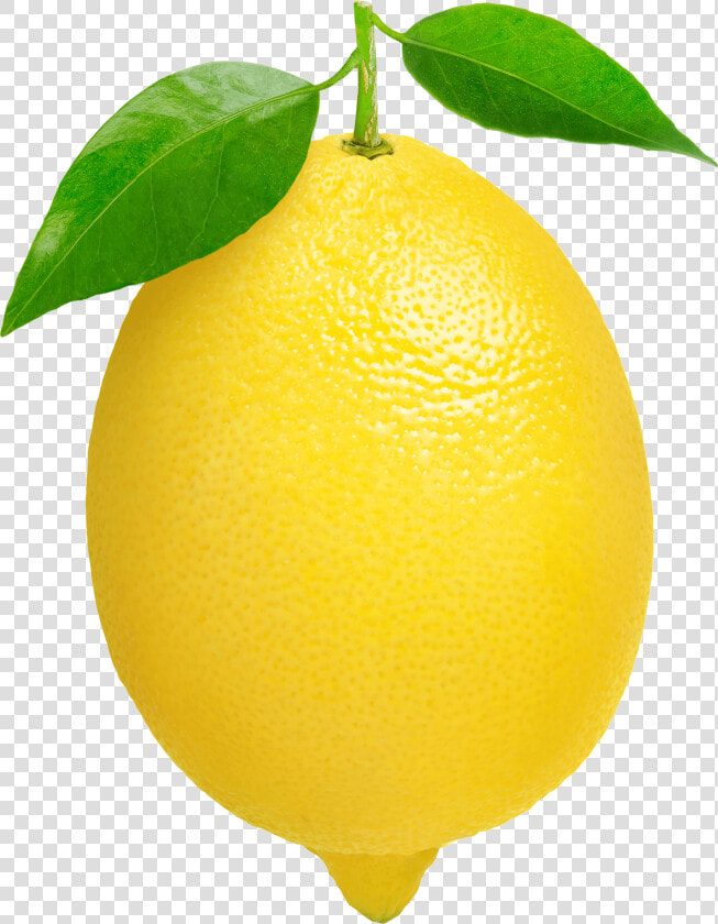 Three Green Lemons Transparent   Lemon Fruit Transparent Background  HD Png DownloadTransparent PNG