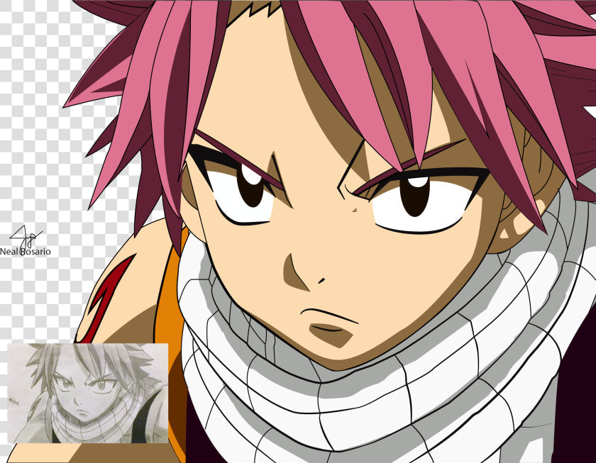 Transparent Natsu Png   Fairy Tail Natsu Face  Png DownloadTransparent PNG