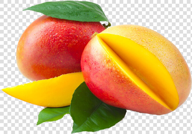 Mango   Fruit Fresh Mango  HD Png DownloadTransparent PNG