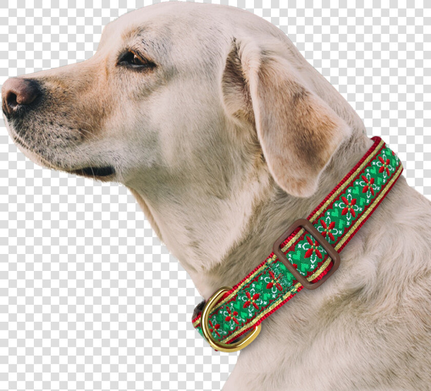 Morocco Flower Dog Collar With Bow Tie  amp  Keychain Included   Dog With Seresto  HD Png DownloadTransparent PNG