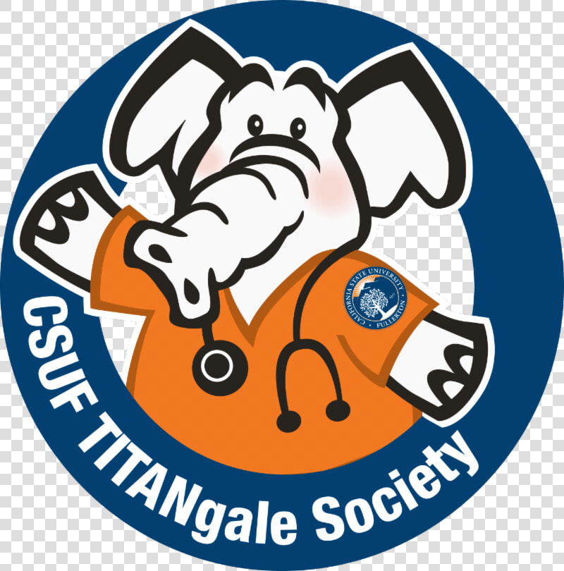 Connect With The Csuf School Of Nursing As A Student    Cal State Fullerton Nursing Program  HD Png DownloadTransparent PNG