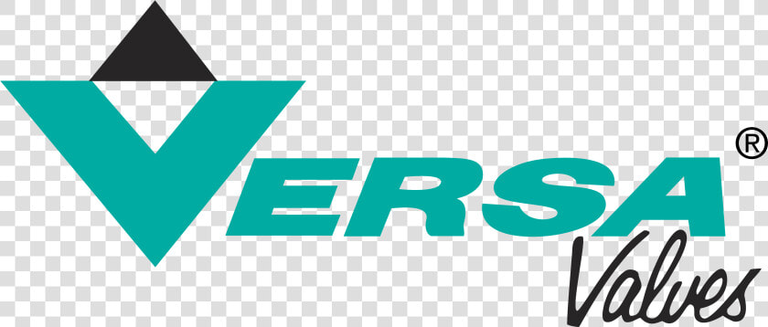 Versa Products Logo   Versa Valves  HD Png DownloadTransparent PNG