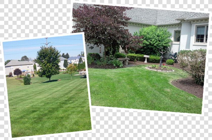 Lawn Care Photos   Lawn  HD Png DownloadTransparent PNG