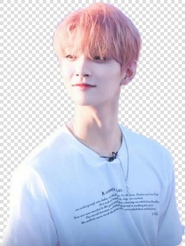 Joshua Hong Seventeen Kpop Aesthetic Carat Png Seventeen   Aesthetic Joshua Hong  Transparent PngTransparent PNG