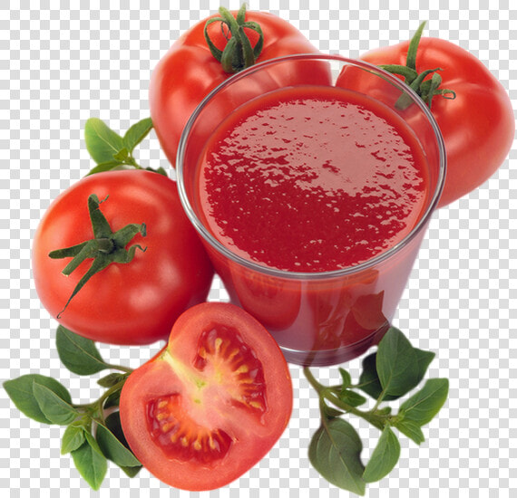 Tomato Paste Png  Transparent PngTransparent PNG