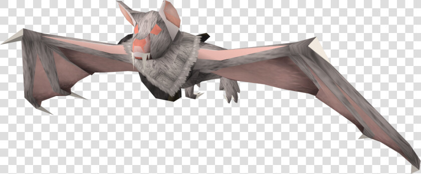 Albino Bat Png  Transparent PngTransparent PNG