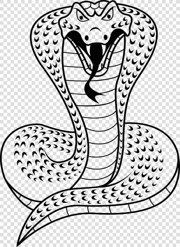 Cobra Naja Desenho   Cobra Snake Clipart Black And White  HD Png DownloadTransparent PNG