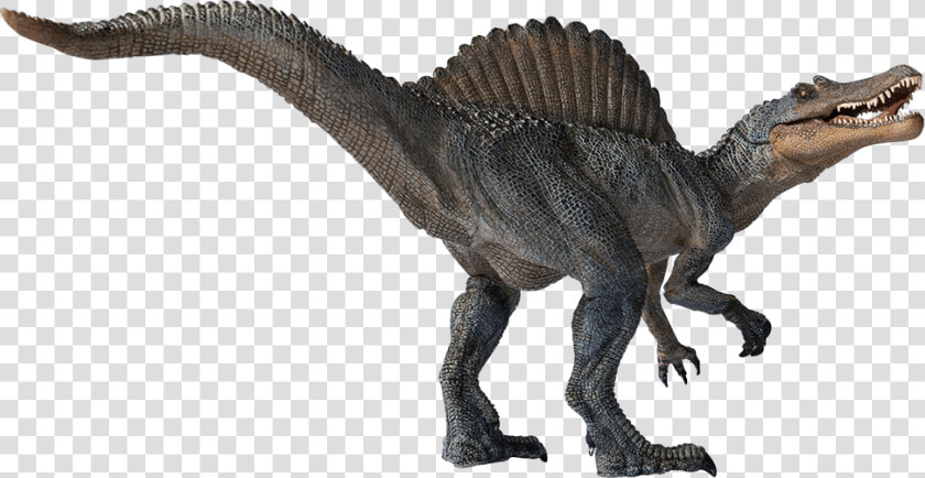 Spinosaurus Png Transparent Image  Png DownloadTransparent PNG