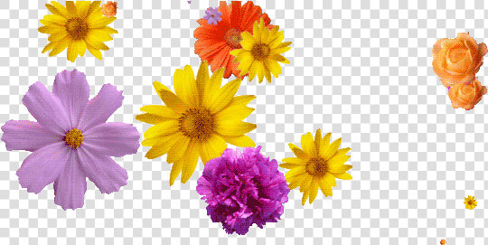 Falling Flowers Gif Transparent  HD Png DownloadTransparent PNG