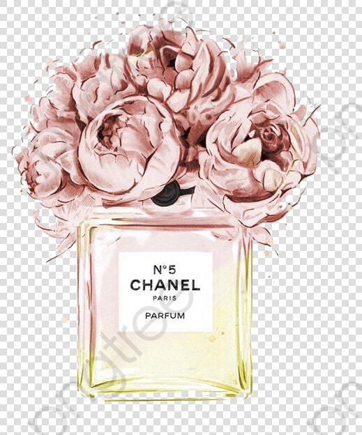 Chanel Perfume Clipart Flower   Transparent Cartoons   Chanel No 5 Flowers  HD Png DownloadTransparent PNG