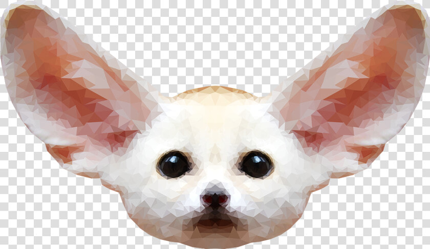 Fennec Fox Png Free Download   Fennec Fox Transparent Background  Png DownloadTransparent PNG