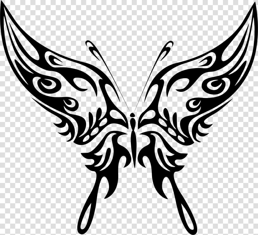 Butterfly Lineart   Tribal Butterfly Silhouette Png  Transparent PngTransparent PNG