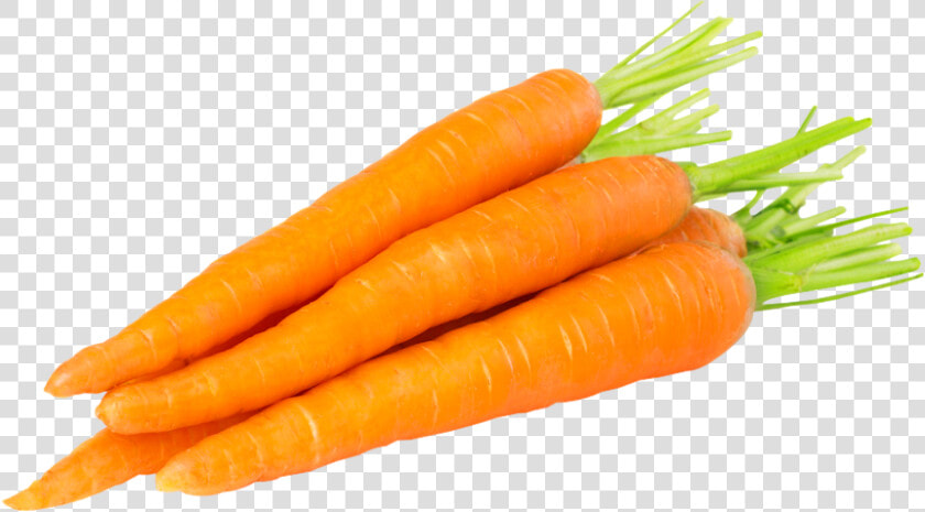 Transparent Carrot Png   Carrot Png  Png DownloadTransparent PNG