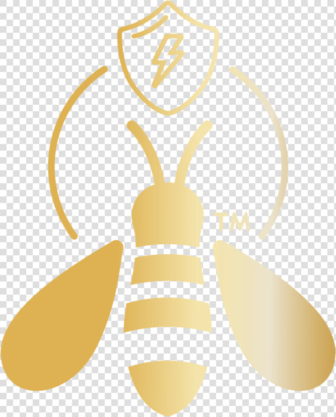 Honeybee  HD Png DownloadTransparent PNG