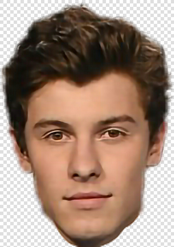 Shawn Mendes Head Png   Png Download   Shawn Mendes Head Png  Transparent PngTransparent PNG