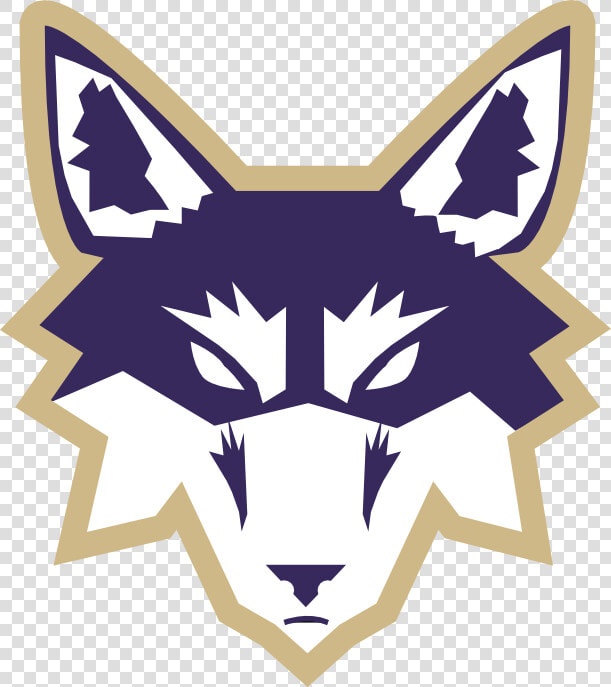 Husky Clipart University Washington   Huskies Washington  HD Png DownloadTransparent PNG