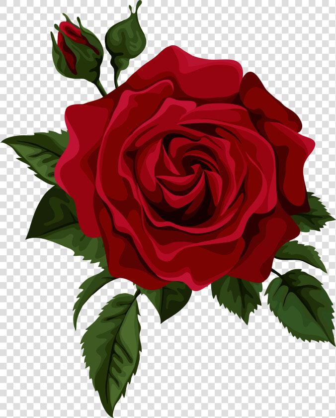 Rose Flower Red Euclidean Vector   Red Rose Drawing Png  Transparent PngTransparent PNG