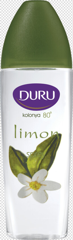 Limon Png  Transparent PngTransparent PNG